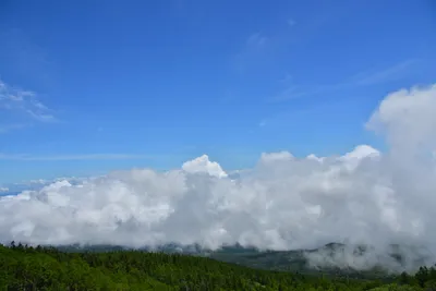 DSC_3619 (Large).JPG